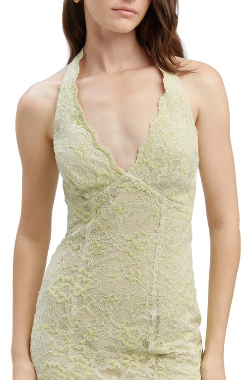 Bardot Evana Lace Midi Dress In Pale Khaki