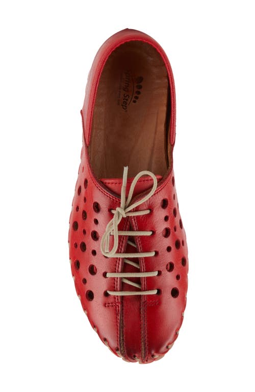 Spring Step Moonwalk Perforated Leather Shoe In Red