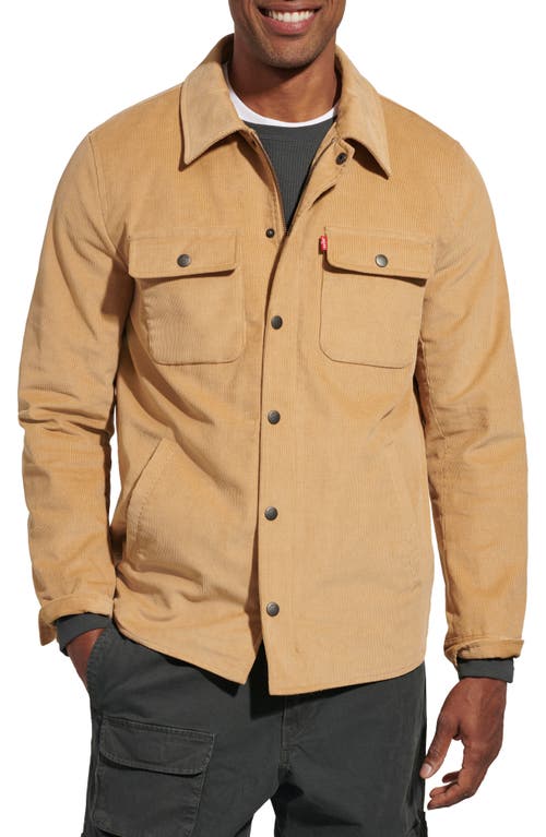 Shop Levi's Cotton Corduroy Shacket In Tan