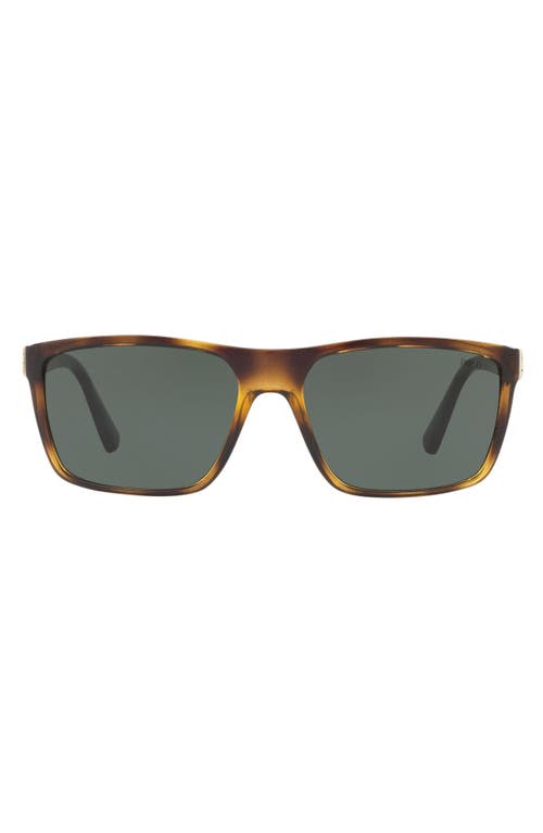 Polo Ralph Lauren 59mm Rectangular Sunglasses in Havana at Nordstrom