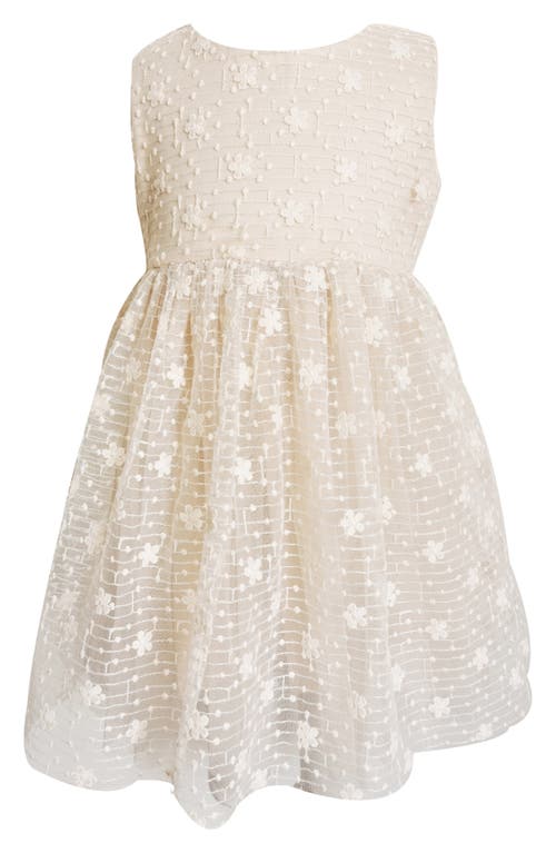 Popatu Kids' Floral Embroidered Tulle Overlay Dress Ivory at Nordstrom,