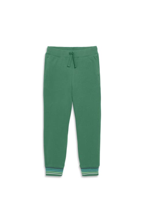 Shop Primary Stripe Trim Jogger In Chive