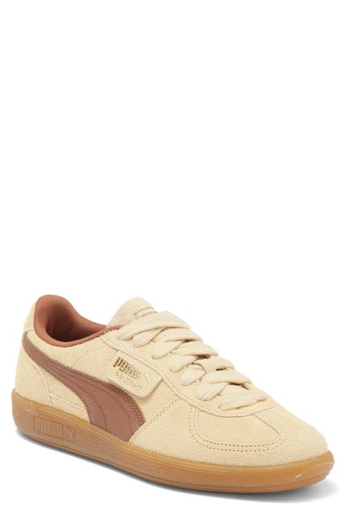 PUMA Palermo Hairy Sneaker in Chamomile-Brown Mushroom at Nordstrom, Size 13