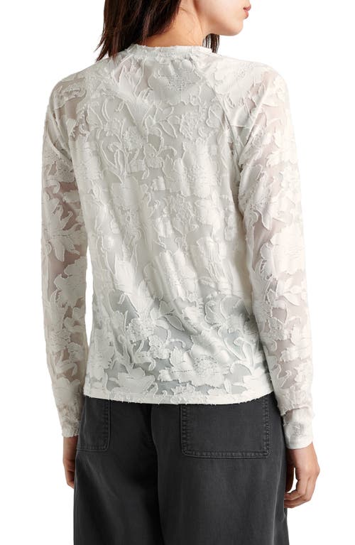 Shop Splendid Cecelia Floral Long Sleeve Top In Pale Oak