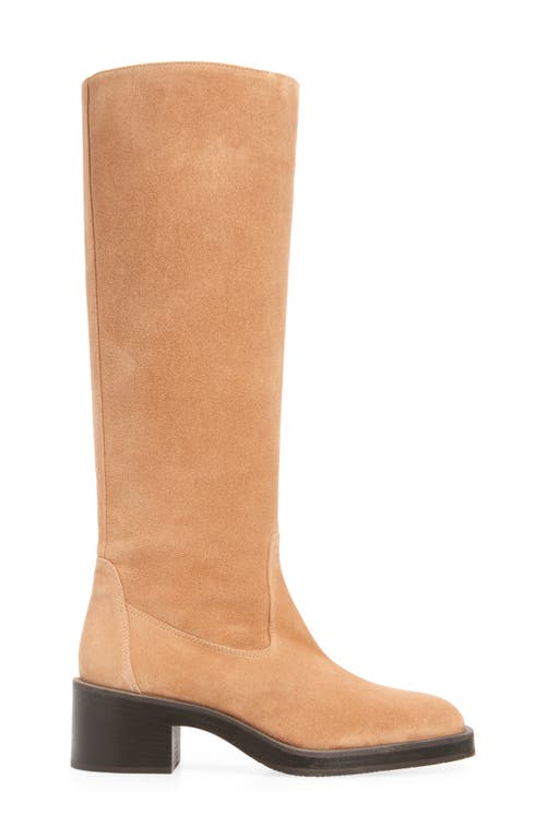 Shop Stuart Weitzman Kaia Knee High Boot In New Camel Sport Suede