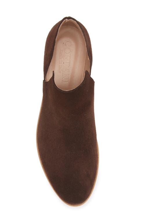 Shop Cordani 'burk' Bootie In Crosta Brown