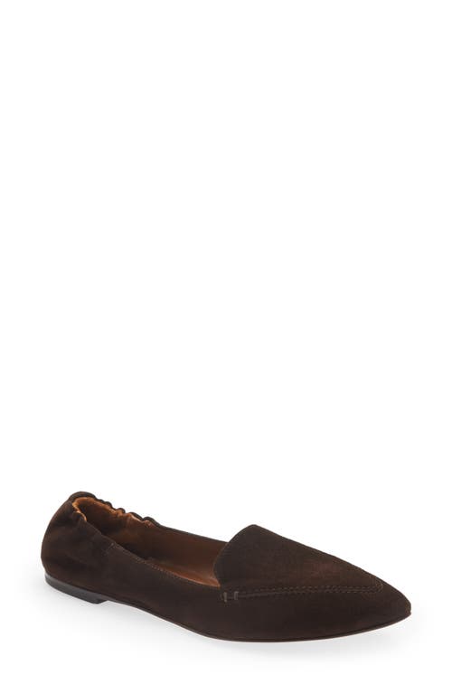 Cordani Valleria Pointed Toe Flat in Coffee Suede