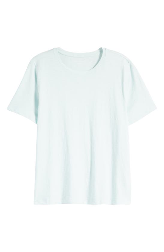 Shop Eileen Fisher Crewneck Organic Cotton Top In Clear Water