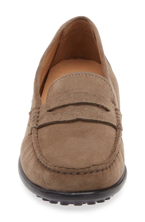 Shop The Flexx Winter Penny Loafer In Almond