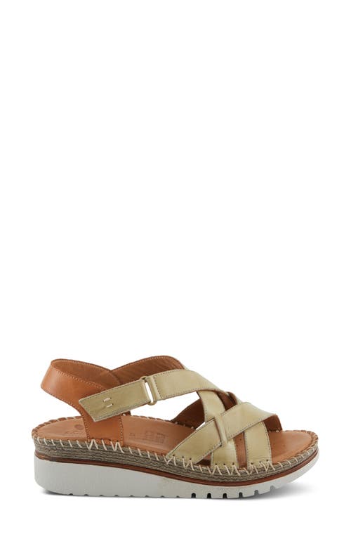 Shop Spring Step Migula Slingback Wedge Sandal In Olive Green