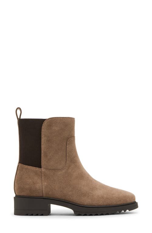 Shop Blondo Coppa Waterproof Boot In Taupe Suede