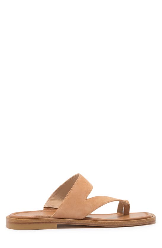 Stuart Weitzman Lyla Flat Sandal The Sw Outlet In Tan