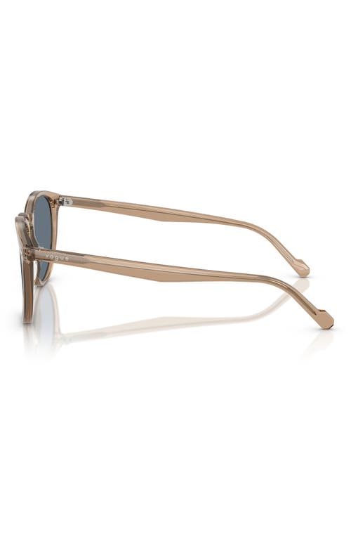 Vogue 53mm Phantos Sunglasses In Beige Polarized