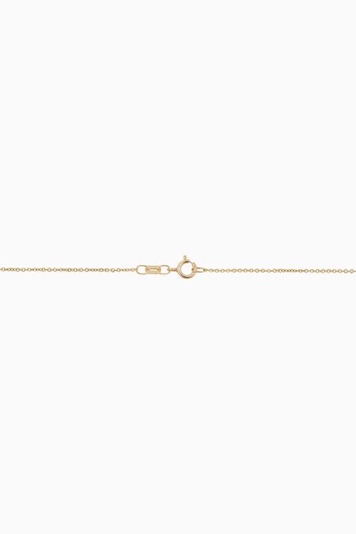 Oradina 14k Gold Compass Rose Pendant Necklace In Yellow Gold