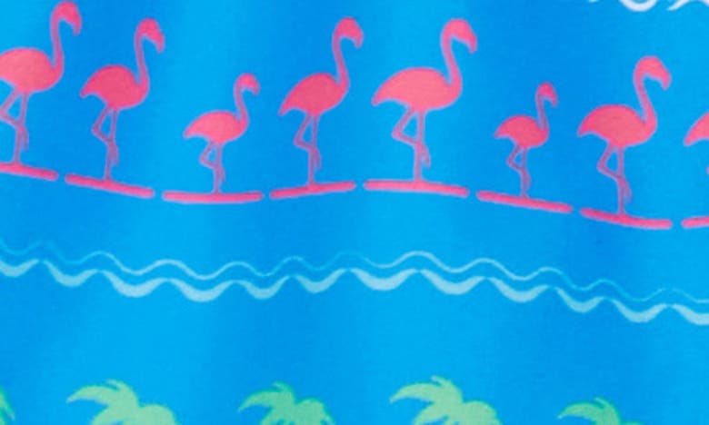 Shop Beach Bros Kids' Tropical Row Swim Trunks In Blue
