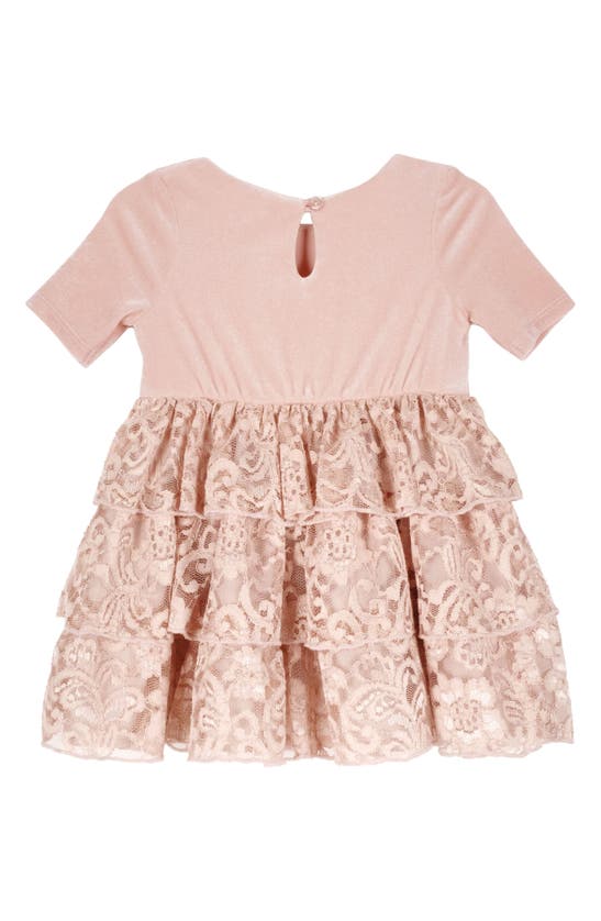 Shop Zunie Velvet & Lace Dress & Bloomers In Blush
