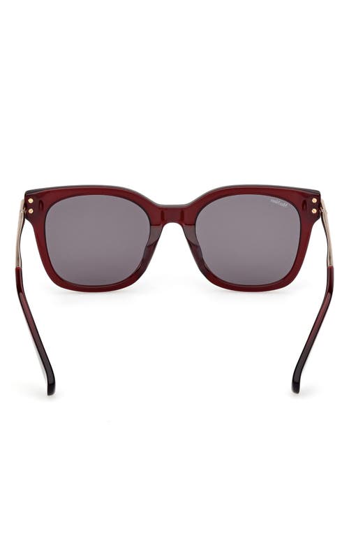 Shop Max Mara 53mm Square Sunglasses In Shiny Bordeaux/smoke