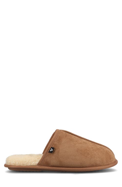 Taft Duncan Faux Shearling Scuff Slipper In Chestnut