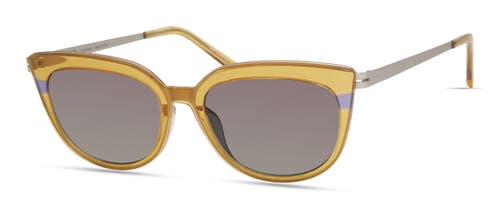 Modo 469 Sunglasses In Yellow