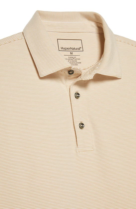 Shop Hypernatural Pinehurst Classic Fit Cotton Blend Golf Polo In Khaki / White