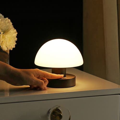 Jonathan Y Zoe Modern Minimalist Iron Rechargeable Integrated Portable Led Table Lamp In Oil Rubbed Bronze