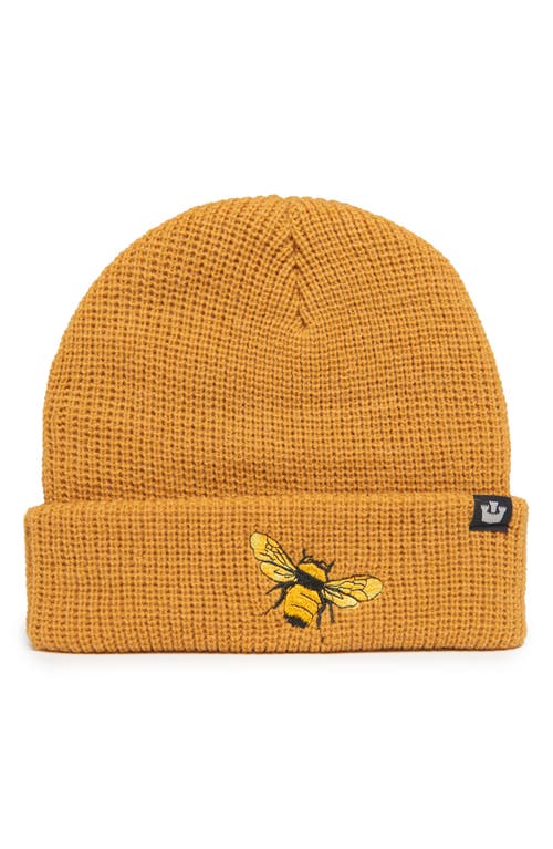 Goorin Bros . Bee Rib Beanie In Brown