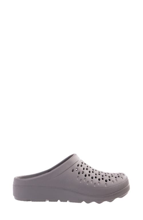 Shop Revitalign Fusion Vitality Clog In Grey