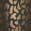 selected Gold Foil color