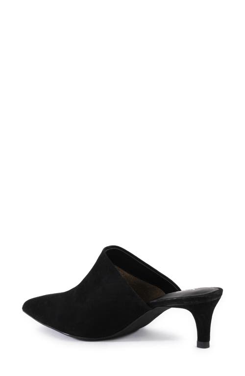 Seychelles Obsession Pointed Toe Kitten Heel Mule In Black Suede