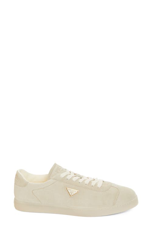 Shop Prada Lane Triangle Logo Sneaker In Pomice