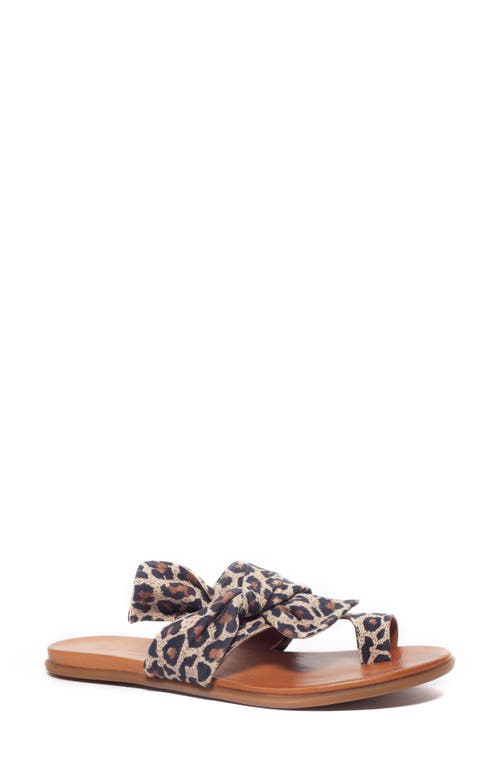 Leather Toe Loop Sandal in Leopard