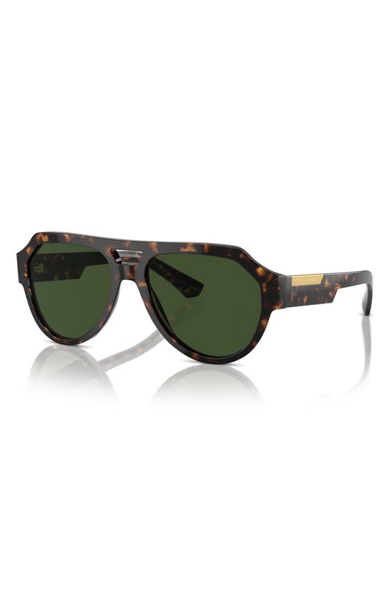 Shop Dolce & Gabbana 56mm Pilot Sunglasses In Havana