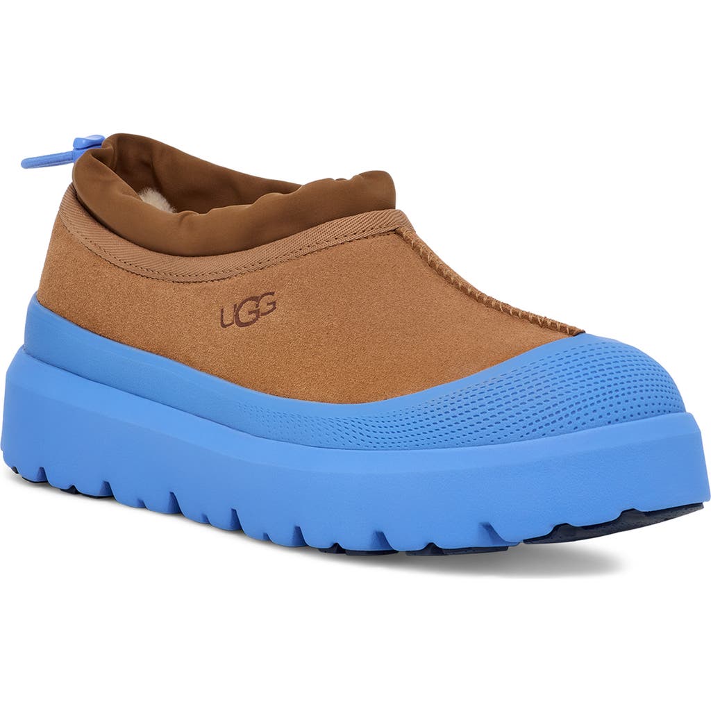 Ugg (r) Tasman Waterproof Hybrid Slip-on Shoe In Chestnut / Big Sky