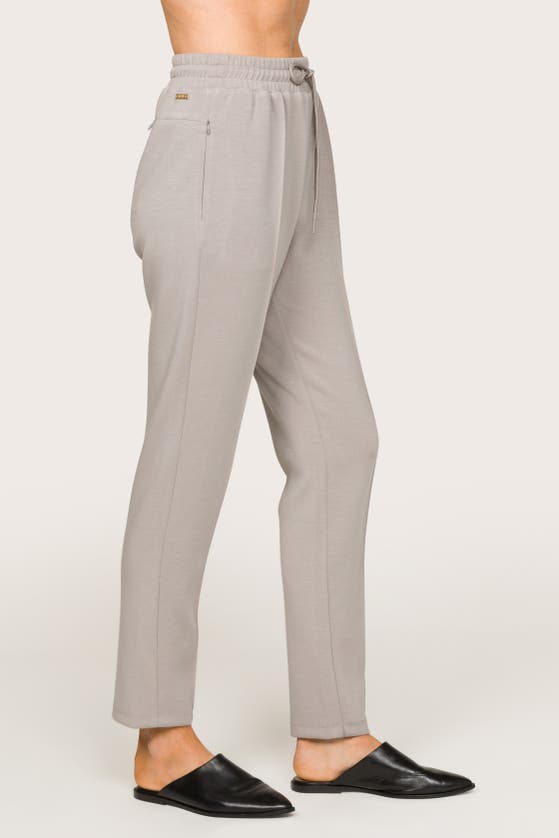 Shop Alala Phoebe Jogger In Stone