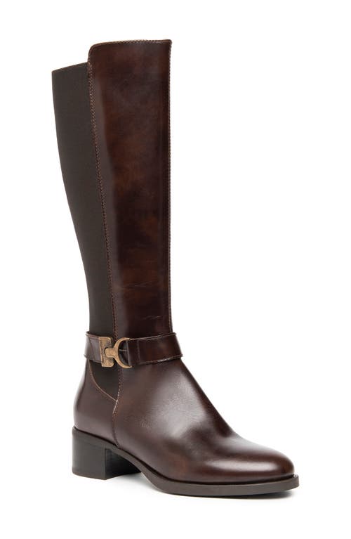 Nerogiardini Leather Stretch Buckle Knee Boots In Brown