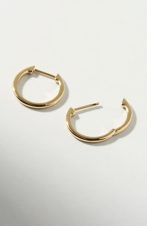 Ana Luisa Small Slim Endless Hoops In Gold