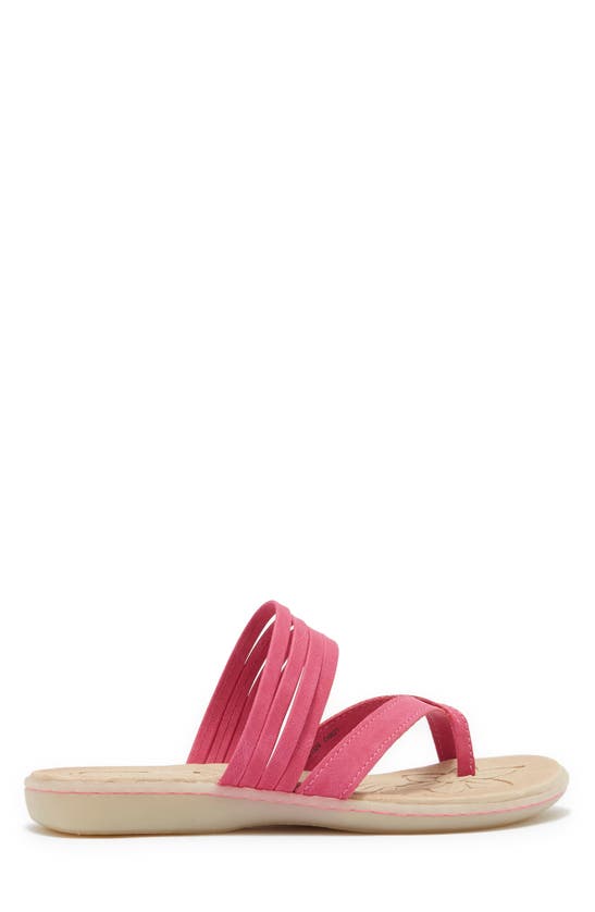 Shop B O C By Born Alisha Toe Loop Sandal In Pink Nubuck