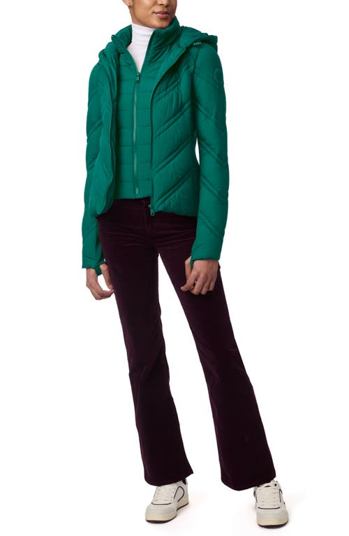 Shop Bernardo Hooded Puffer Jacket With Bib In Emerald Green