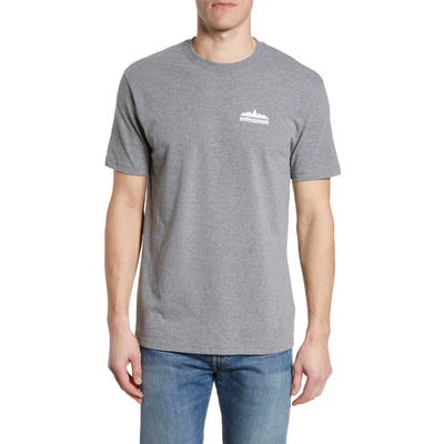 Patagonia Partyledge Responsibili-Tee T-Shirt, Grey