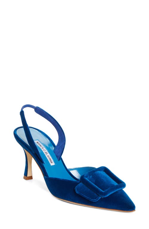 Shop Manolo Blahnik Maysli Buckle Slingback Pointed Toe Pump In Blue