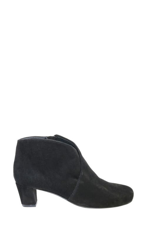 David Tate Prestige Bootie In Black Suede