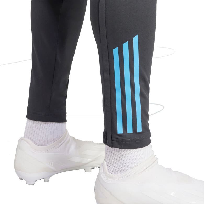 Shop Adidas Originals Adidas Gray Argentina National Team 2024 Aeroready Training Pants