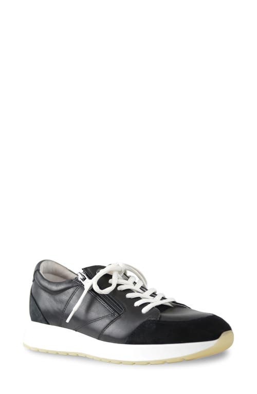 Sutton Sneaker in Black Combo
