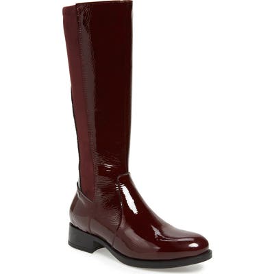 Bos. & Co. Beau Tall Waterproof Boot - Burgundy