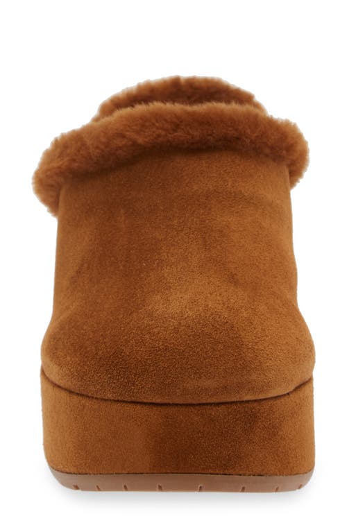 Shop Gianvito Rossi Lyss Genuine Shearling Mule In Texas/texas