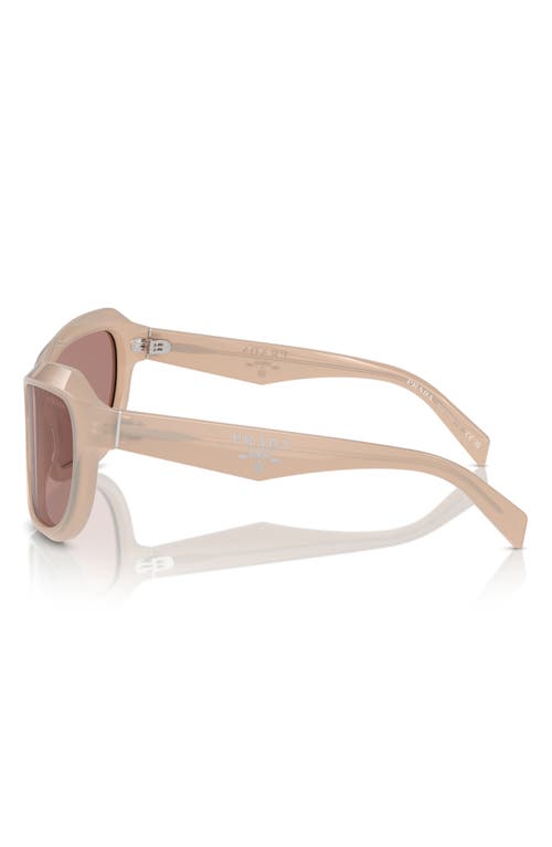 Prada 63mm Oversize Butterfly Sunglasses In Lite Brown