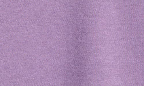 Shop Caslonr Caslon(r) Long Sleeve Johnny Collar Polo In Purple Montana