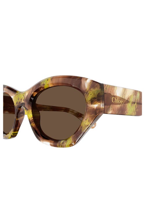 Shop Chloé 53mm Cat Eye Sunglasses In Havana