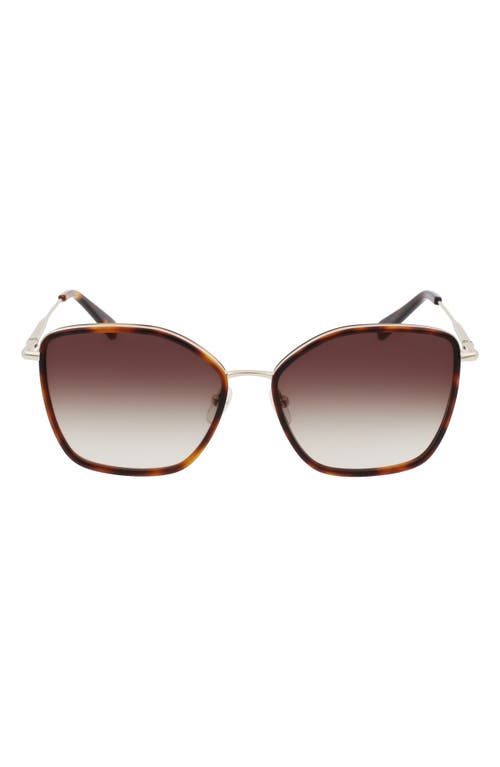 Longchamp Roseau 59mm Gradient Butterfly Sunglasses In Gray