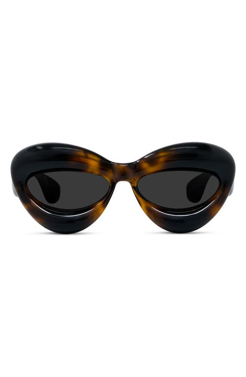 Shop Loewe 55mm Cat Eye Sunglasses In Dark Havana/smoke